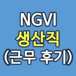 엔지브이아이후기