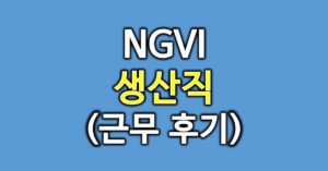 엔지브이아이후기