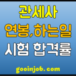 customs-agent