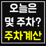 오늘몇주차