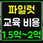 파일럿 되는법