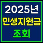 민생지원금