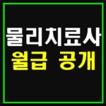 물리치료사-월급